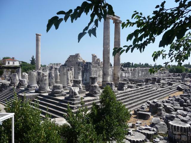 Didym, Le temple d'Appolon
