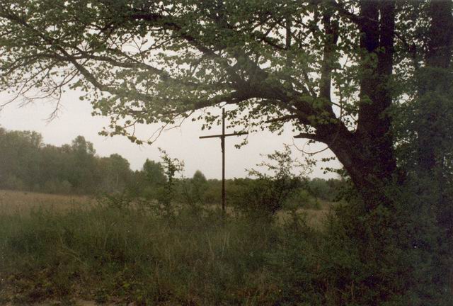 l'arbre qui l'abrite (Photo R. Briols)