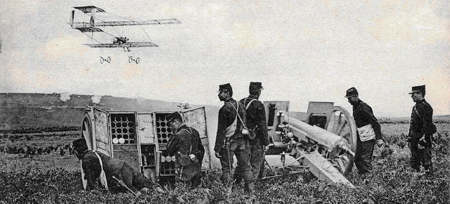 Carte postale, photomontage contradictoire. Avion dans l'axe de tir de l'artillerie.