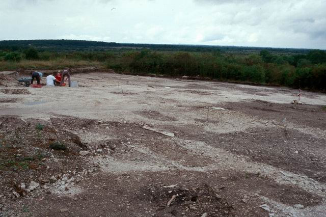 Décapage archéologique laissant apparaître des creusements anciens (taches sombres) correspondant aux fonds de cabanes, fosses et autres aménagements.